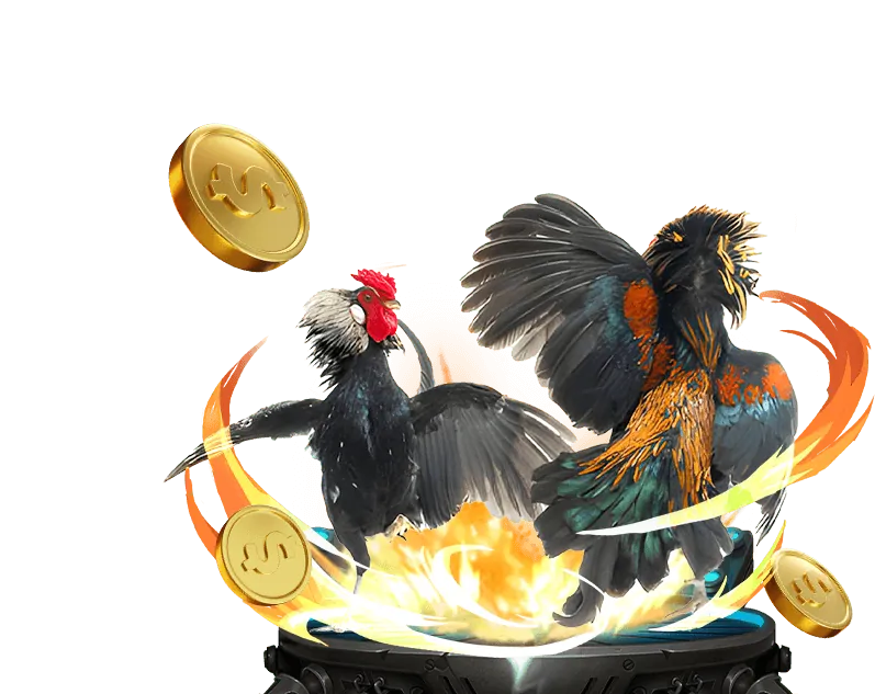 Hướng dẫn dành cho người mới game 456win